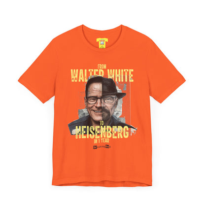 BREAKING BAD - FROM WALTER WHITE TO HEISENBERG IN 1 YEAR